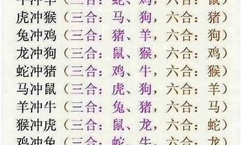 算字猜一生肖_算打一生肖是什么动物类型的生肖