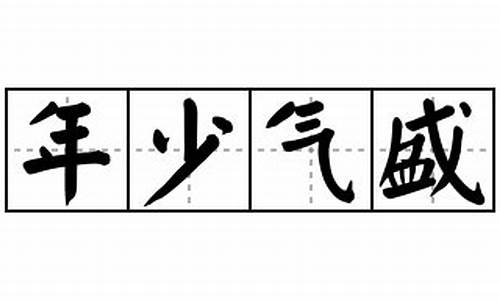 年少气盛的意思_年少气盛的意思解释