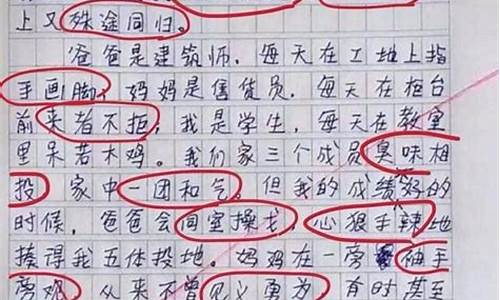 关于成语的作文_关于成语的作文800字