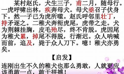 文言文形式的成语故事有哪些_文言文形式的成语故事有哪些呢