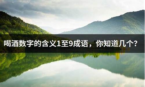 喝酒数字成语一到十大全_喝酒数字的成语